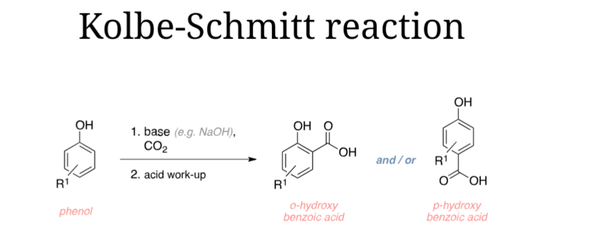 Biosynthetic Pathways For 4 Hydroxybenzoate The Science Notes