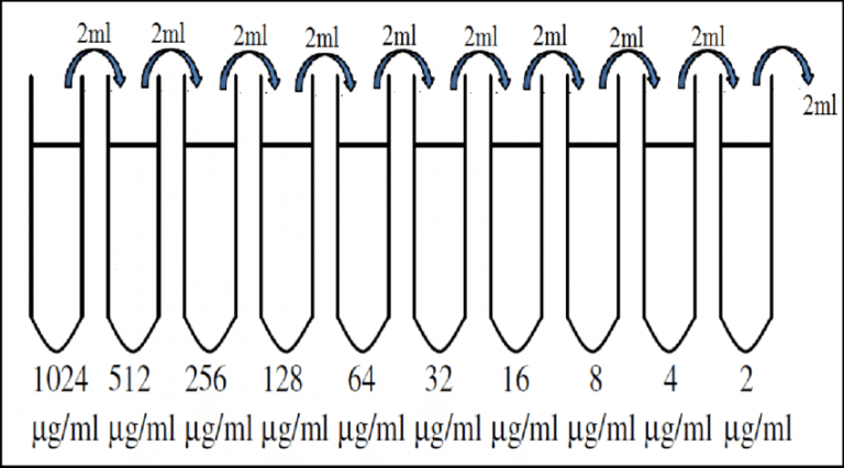 dilution-tests-for-antibiotic-sensitivity-testing-broth-dilution-agar