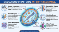 An infographic illustrating six primary mechanisms that bacteria use to resist antibiotics: enzyme production, altered enzymes, target modification, permeability change, metabolic bypass, and efflux pumps.