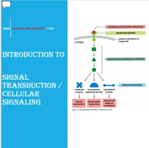 Introduction to Signal Transduction