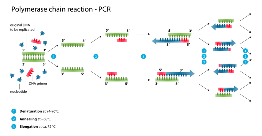 PCR cycling parameter