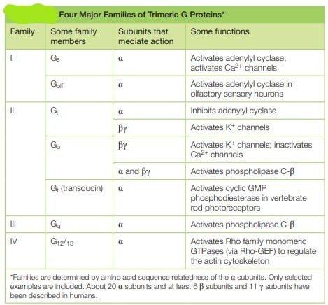 چهار خانواده اصلی پروتئین G trimeric