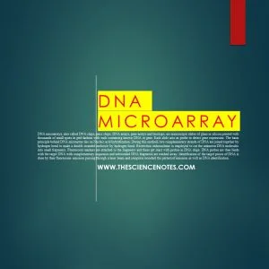 DNA-1-300x300.jpg.webp