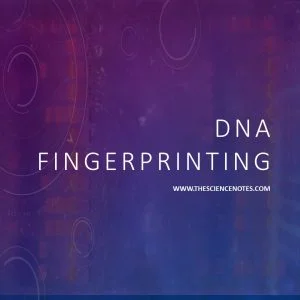 DNA FINGERPRINTING