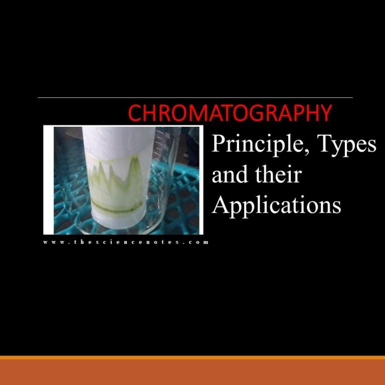 gas-chromatography-display-inch-7-model-name-number-sepmaster-1000