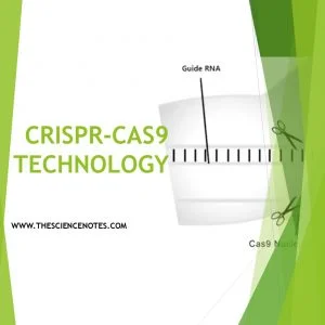 Crispr Cas9 technology