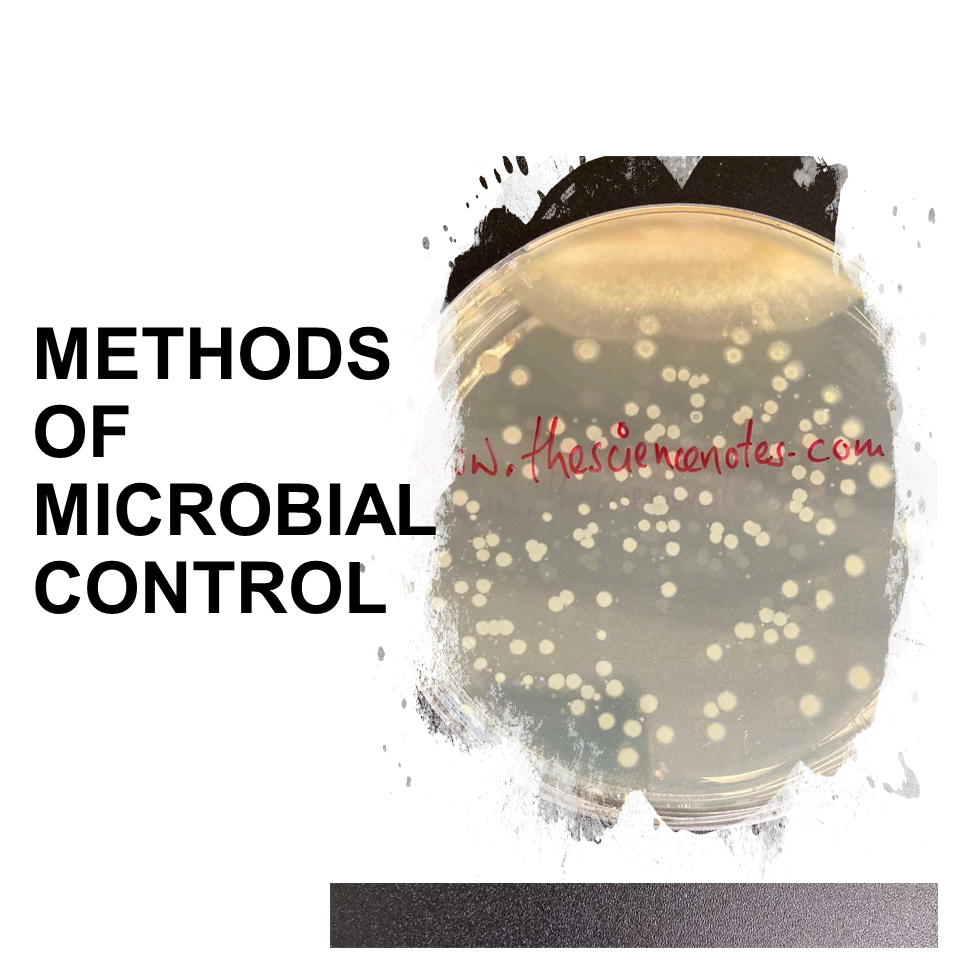 Microbial Control