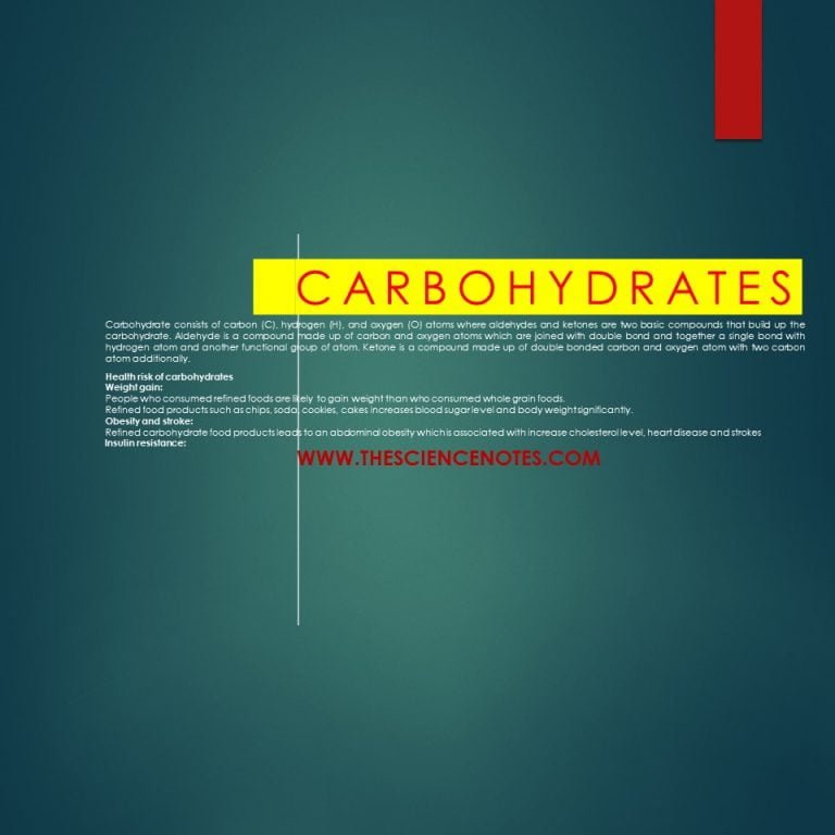 classification-of-carbohydrates-archives-the-science-notes