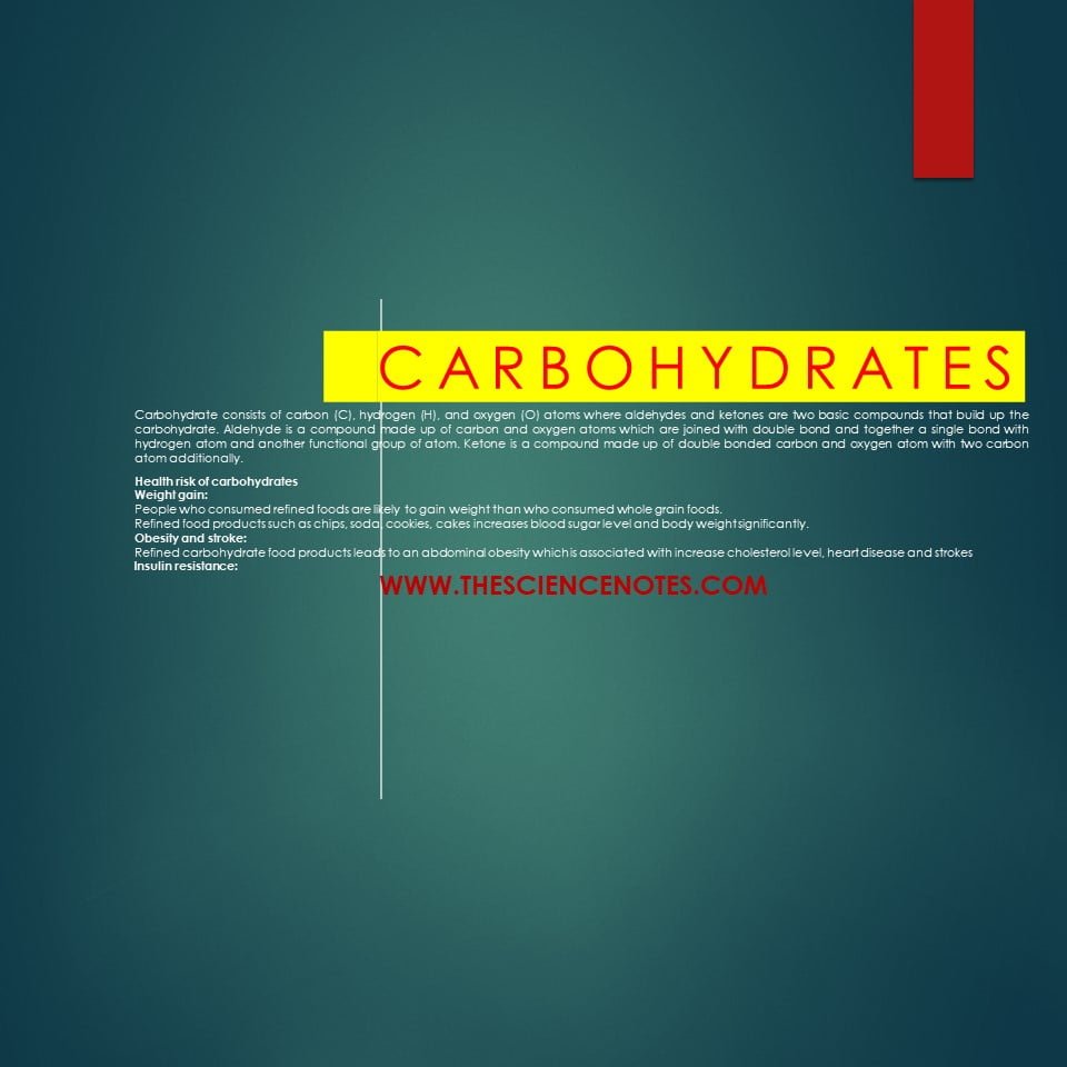 carbohydrate-definition-functions-types-health-benefits-and-risks