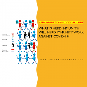 Herd Immunity amid covid-19