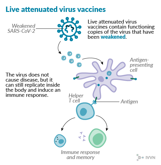Live attenuated vaccine