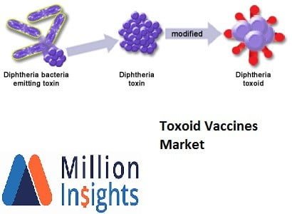 Toxoid vaccine