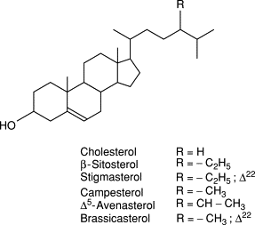 sterols