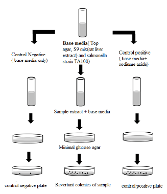 Detection Method of Mutation