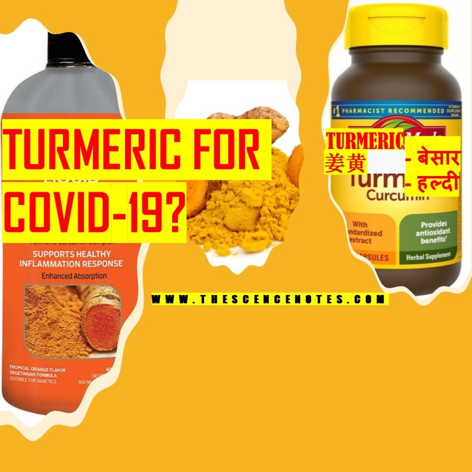 turmeric-powder-uses-side-effects-implications-in-covid-19