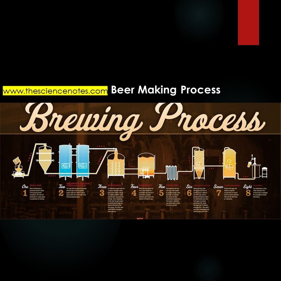 Brewing : Beer making Process - The Science Notes