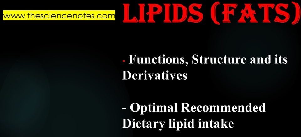 lipids