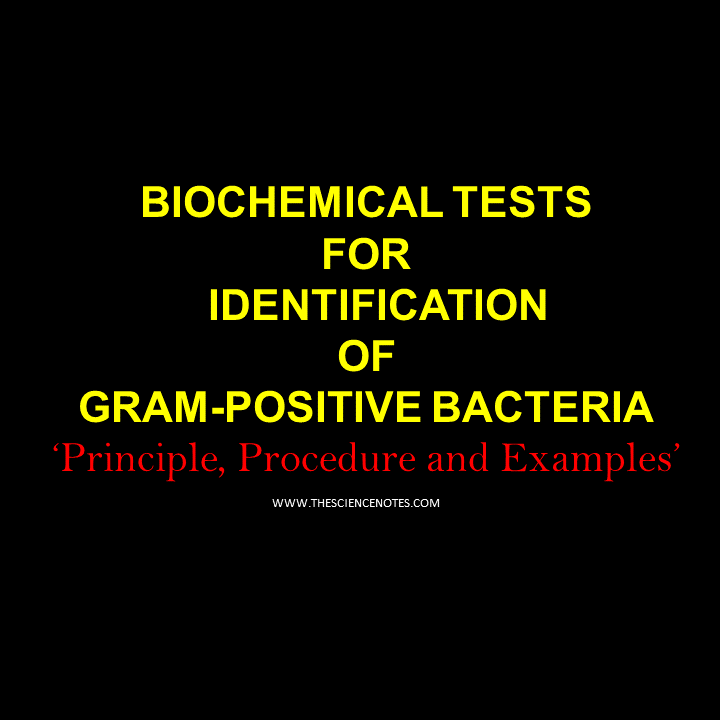 Biochemical tests for identification of Grampositive bacteria