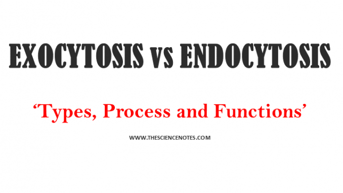 Endocytosis And Exocytosis The Science Notes