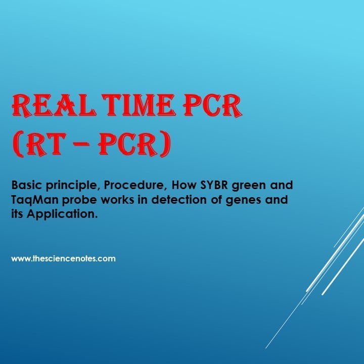 Real Time Pcr Rt Pcr Principle Procedure And Applications Sexiz Pix