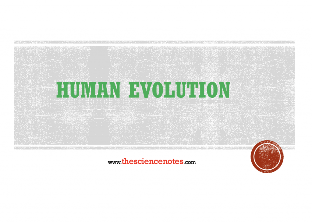 Difference Between Archives The Science Notes