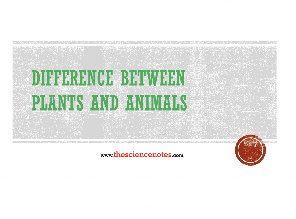 difference-between-plants-and-animals-archives-the-science-notes