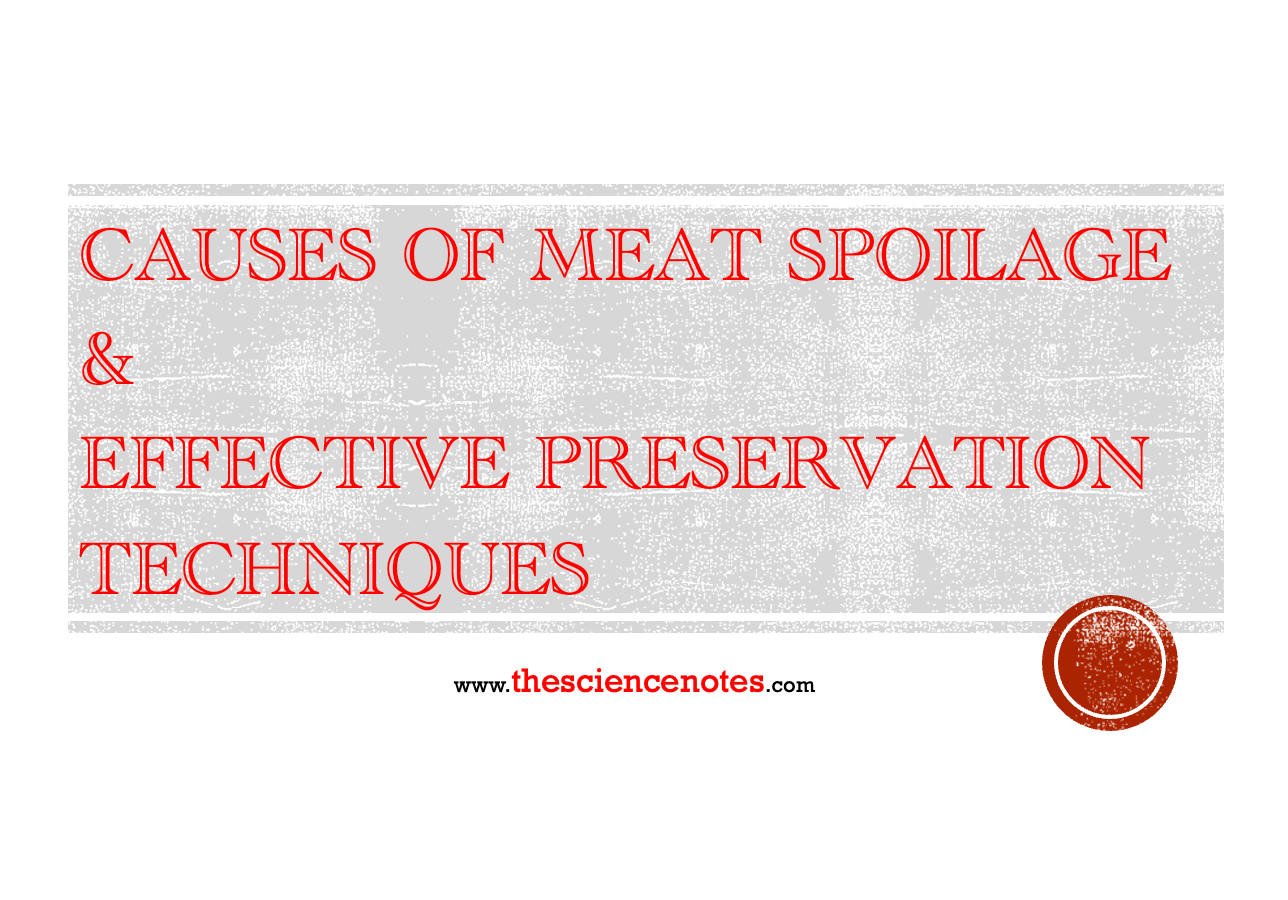 causes-of-meat-spoilage-and-effective-preservation-techniques