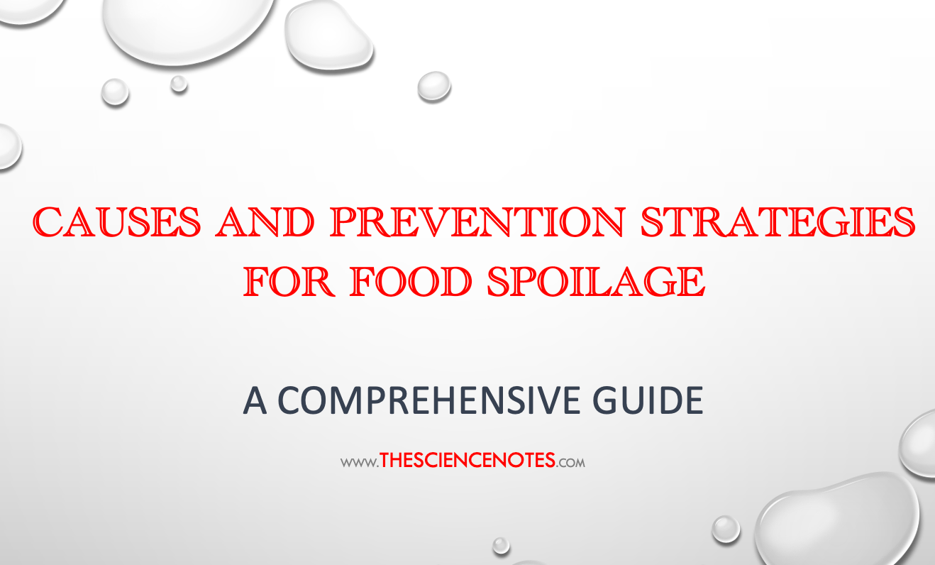 causes-and-prevention-strategies-for-food-spoilage-the-science-notes