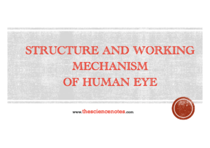 Structure and Working Mechanism of Human Eye