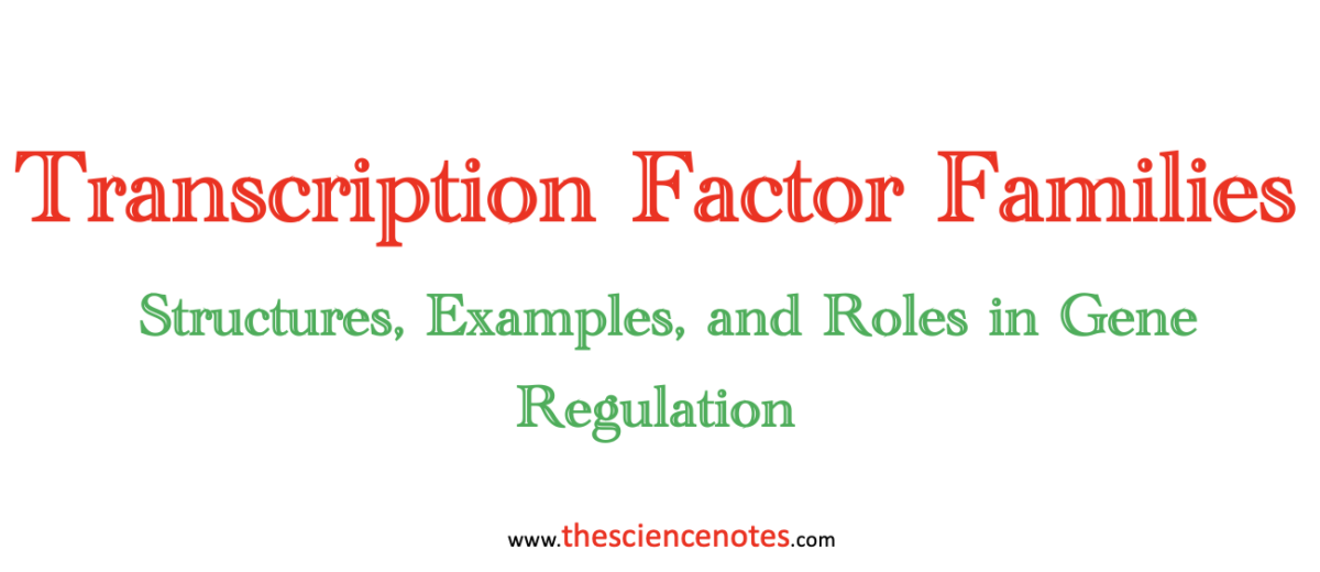 transcription factor families