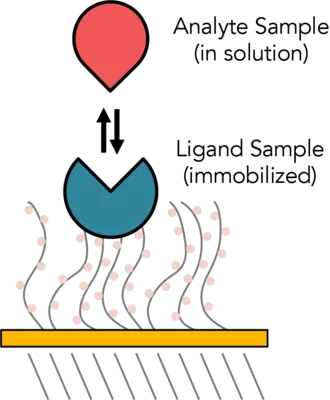 SPR technique