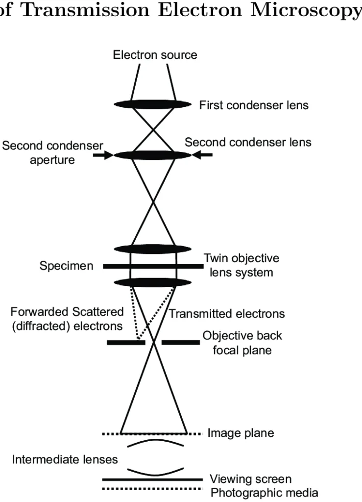 Transmission electron Microscopy