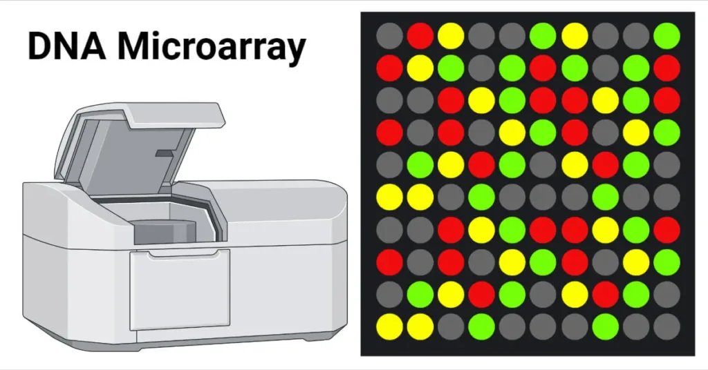 microarray clipart