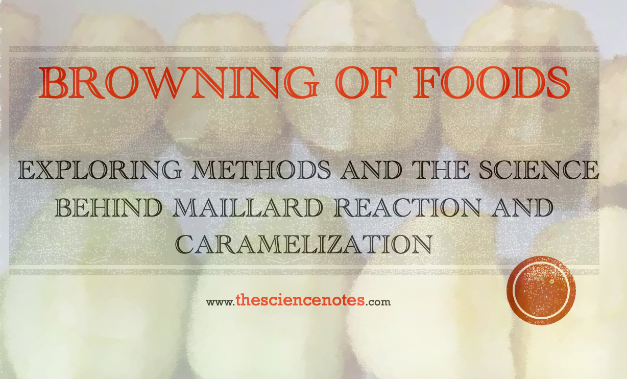 browning-of-food-and-its-types-maillard-reaction-and-caramelization