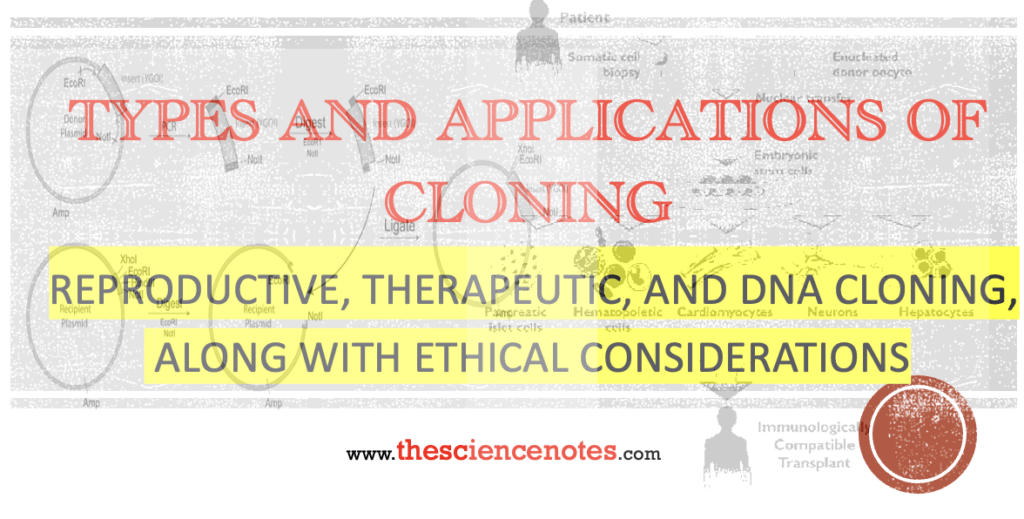 DNA cloning Archives - THE SCIENCE NOTES