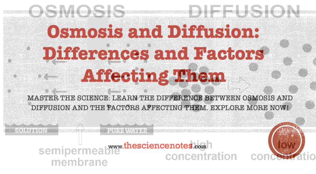 Differences Between Osmosis And Diffusion Archives The Science Notes