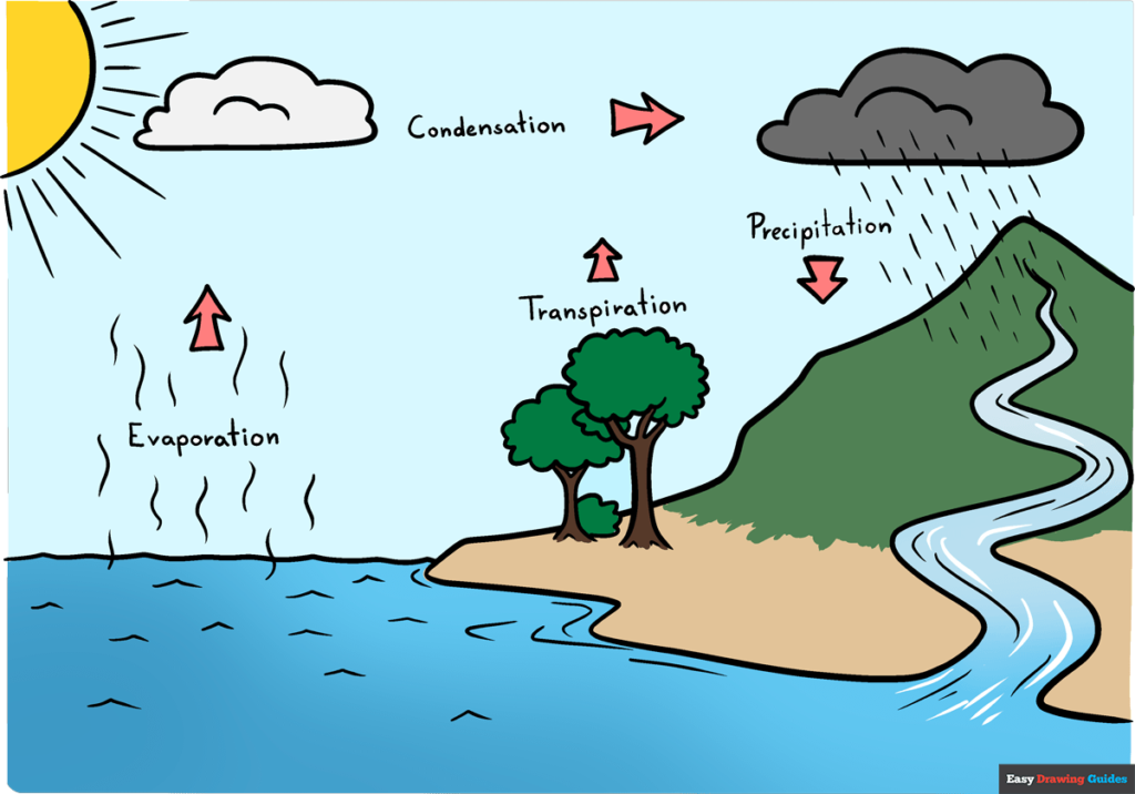 Diagram of Water cycle