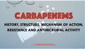 Carbapenem antibiotics