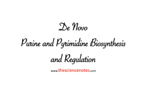 De Novo Purine and Pyrimidine Biosynthesis and Regulation