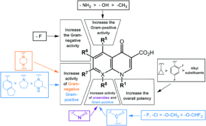 Fluoroquinolones Structure Classification Mechanism Of Action And   C9md00120d F2 Hi Res 300x184 