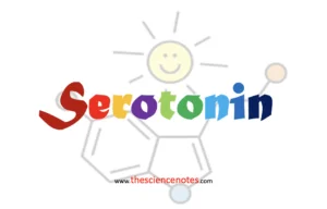 Serotonin notes