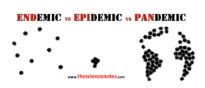 Endemic vs Epidemics vs Pandemic