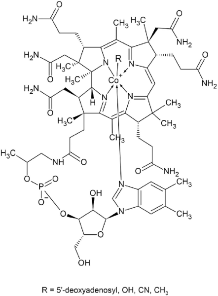 Chemical structure of Vitamin B12
