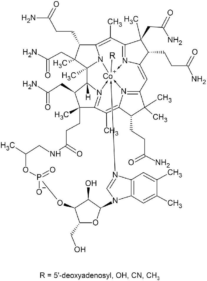 Vitamin B Roles Sources Absorption Deficiency And Supplements