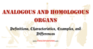Analogous and Homologous organs
