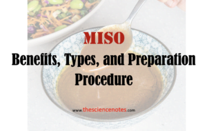 Miso notes