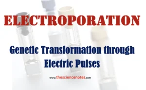 Electroporation method