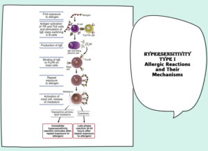 Hypersensitivity Type I