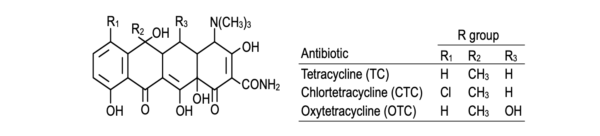 General structure of tetracycline