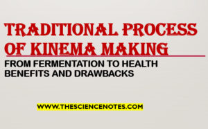 Traditional Process of Kinema Making